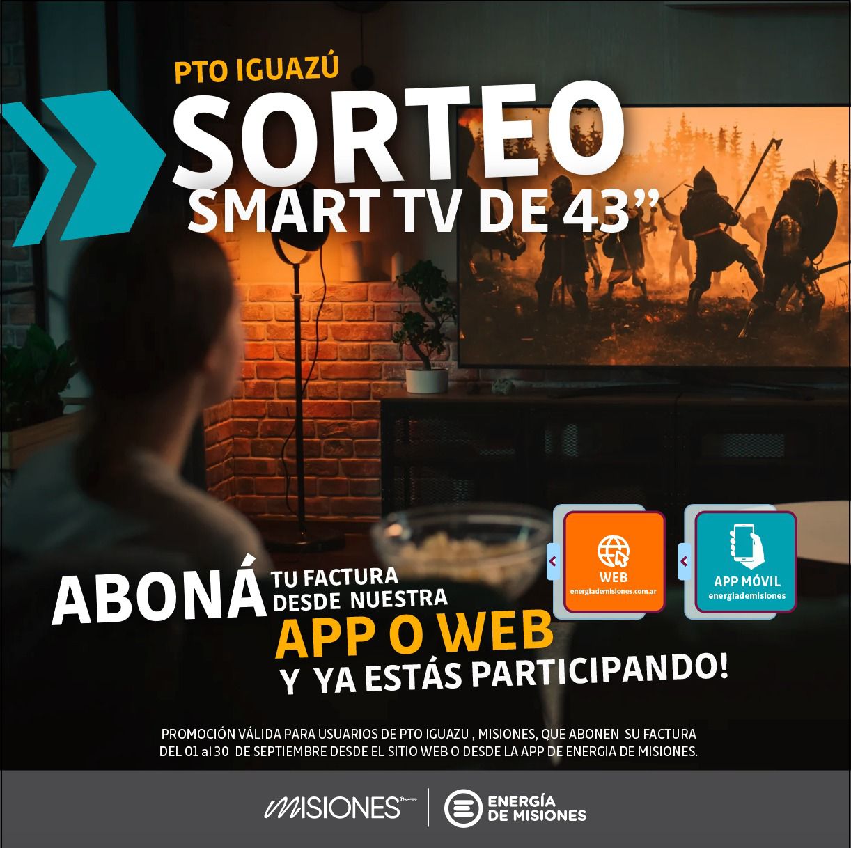 Puerto Iguazú: sortearán un SMART TV entre los usuarios de Energía de Misiones que abonen la factura de forma online desde la APP o web
