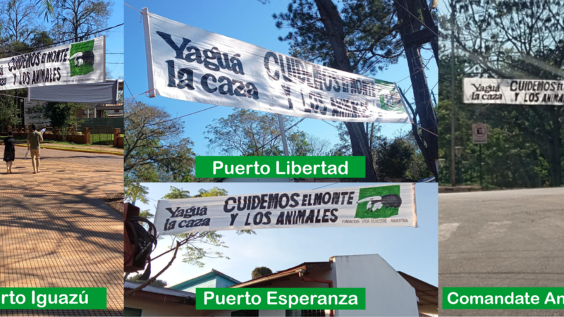 Municipios del norte de Misiones se suman a la campaña “Yaguá la Caza”