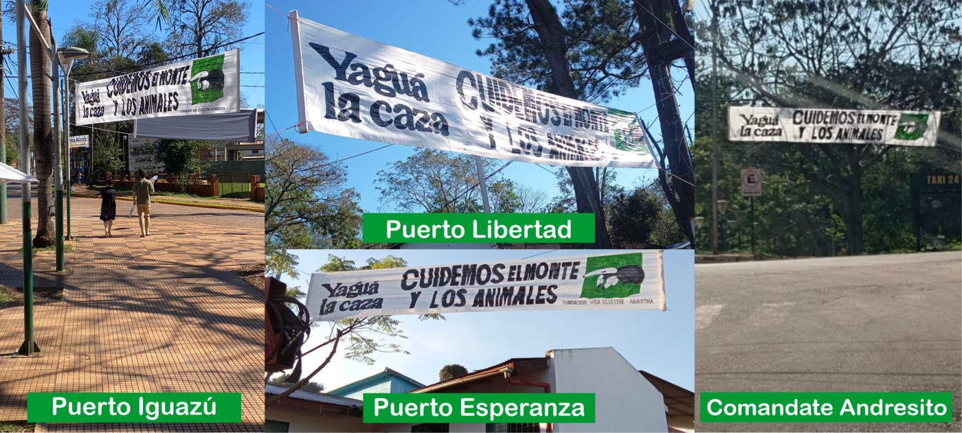 Municipios del norte de Misiones se suman a la campaña “Yaguá la Caza”