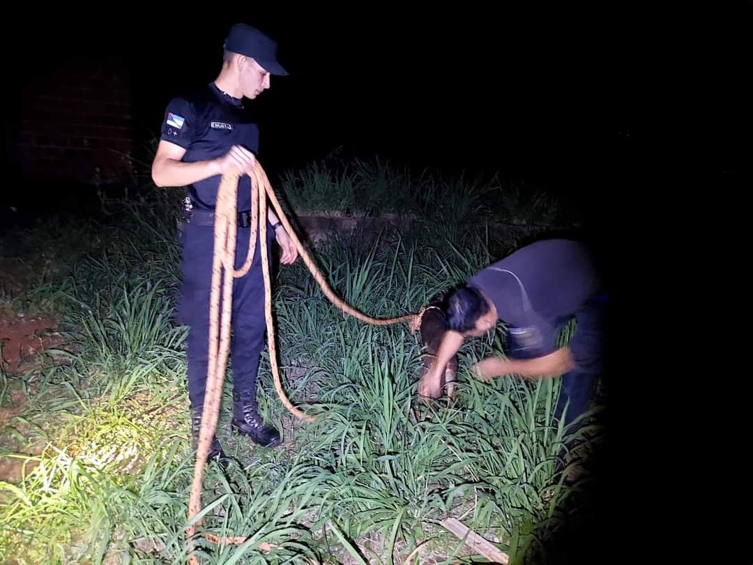 Rescataron a un perro que cayó en un pozo de más de 10 metros en Puerto Iguazú