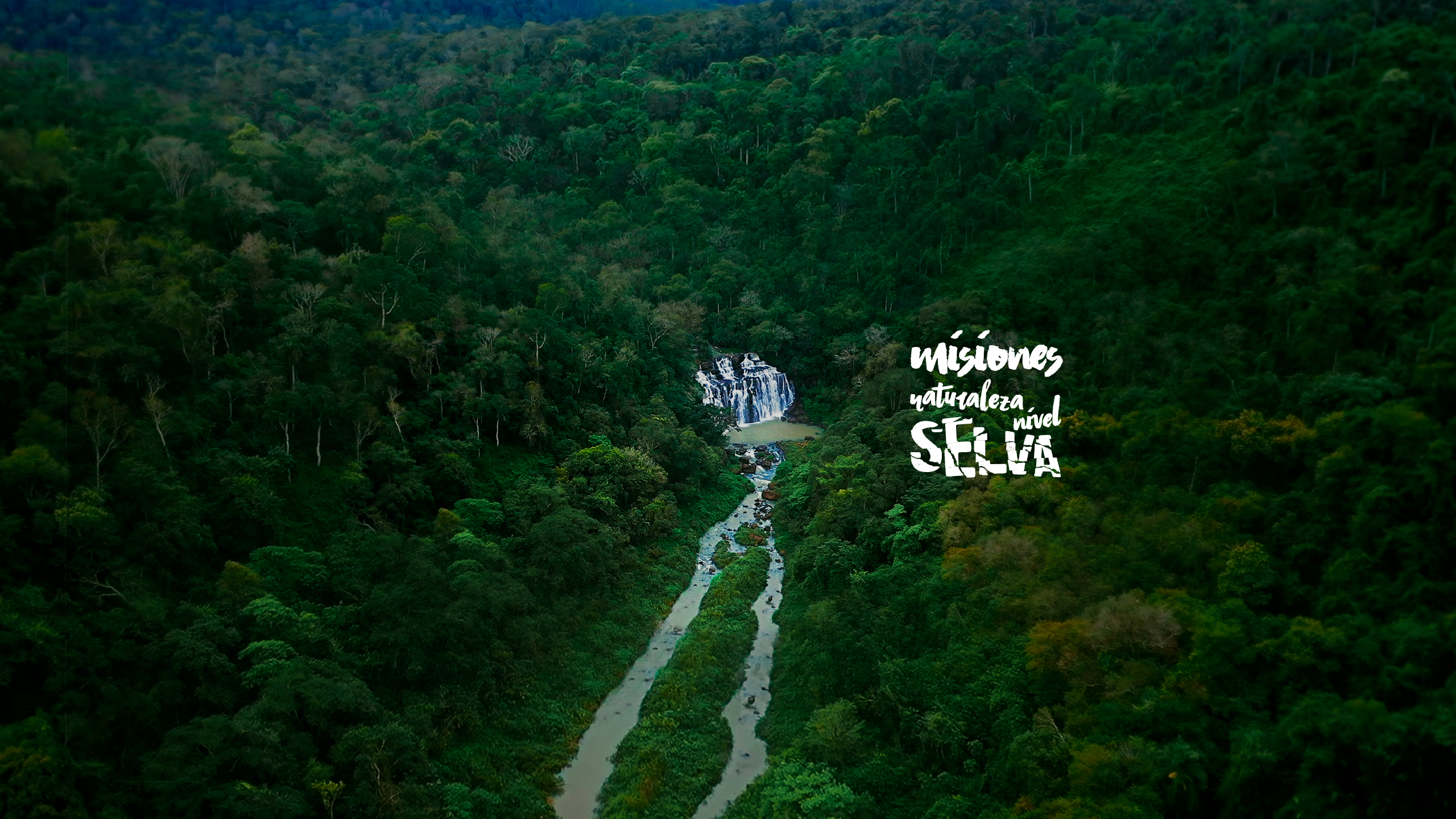 Misiones promueve su diversidad con un nuevo spot publicitario “naturaleza nivel selva”