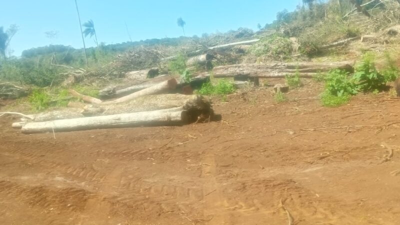La empresa Macovalle destruyó más de 100 hectáreas de territorio Mbya