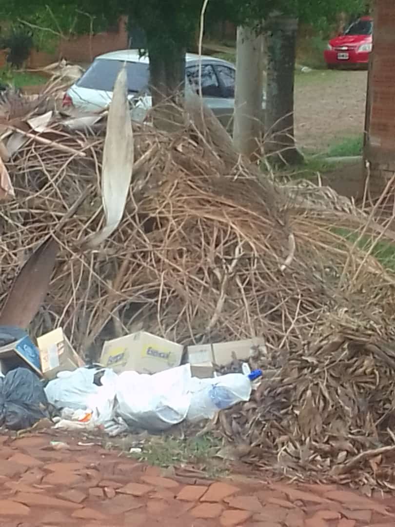 Iguazú: Vecinos de la calle las Valerianas continúan esperando que el municipio termine con el mini basural