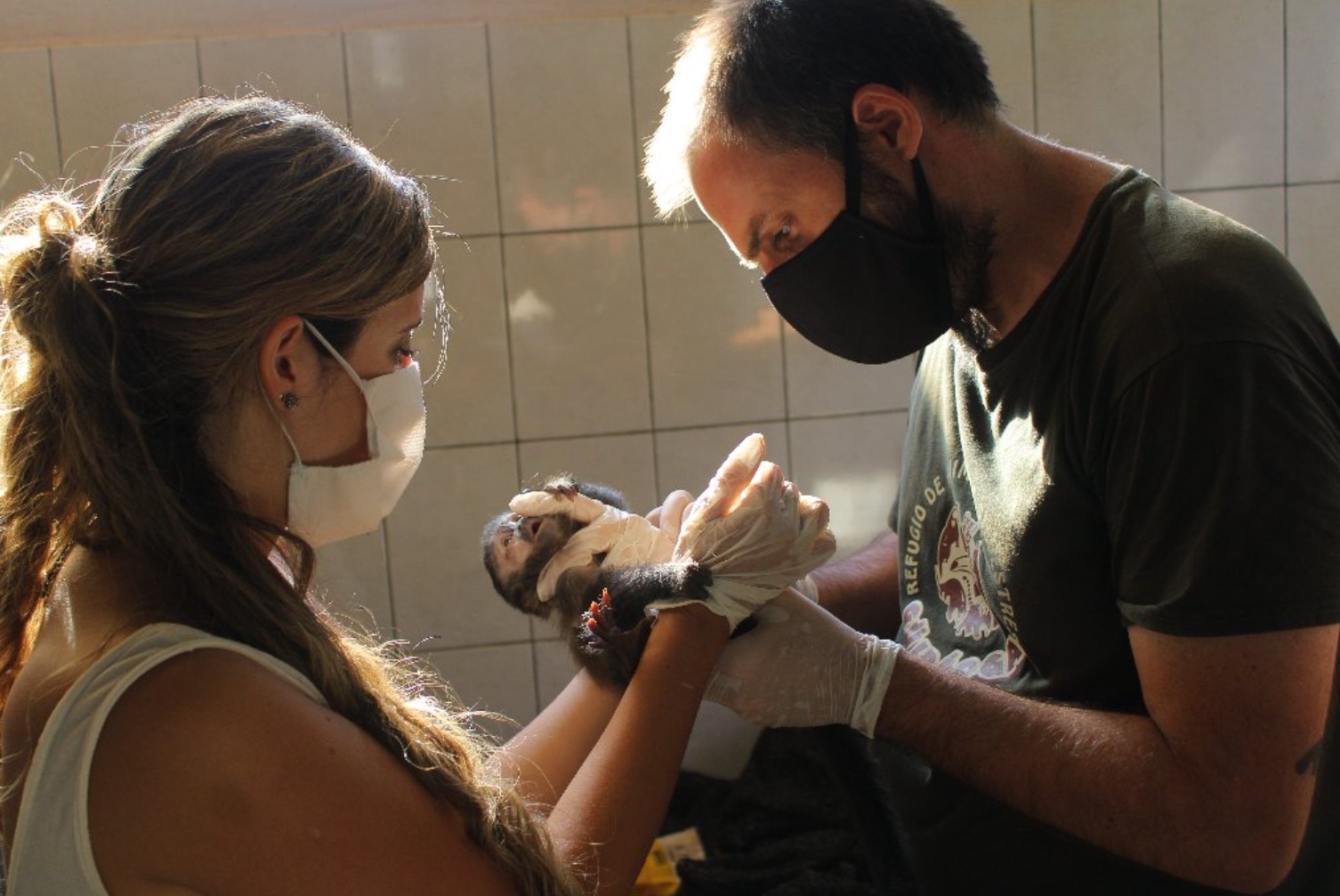 La selva Misionera y su biodiversidad seduce a los investigadores