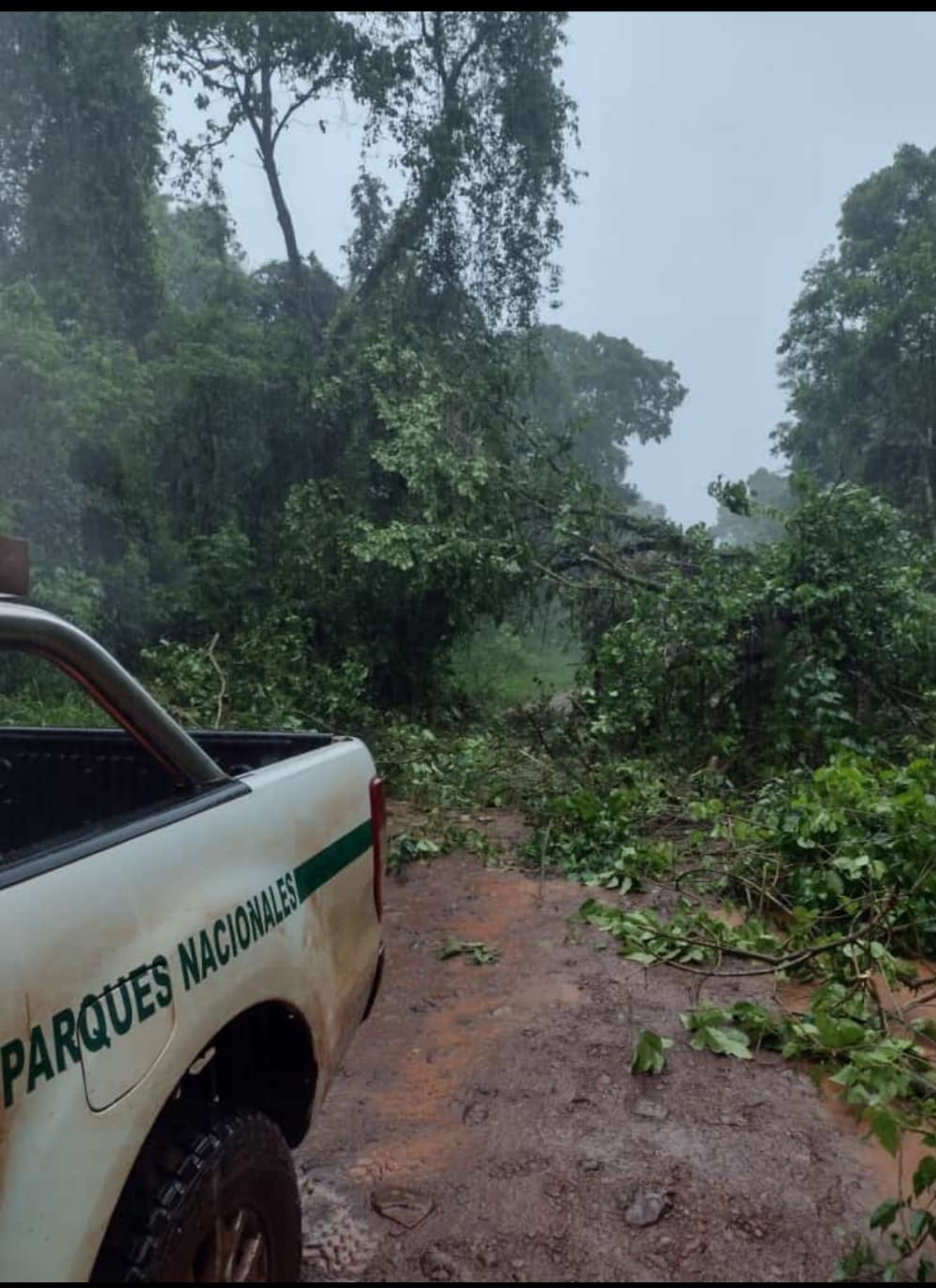 A primera hora evaluarán el estado de los paseos en Cataratas para determinar si es seguro habilitar el acceso