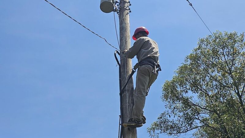 Electrificación Rural: para Energía de Misiones cada familia cuenta