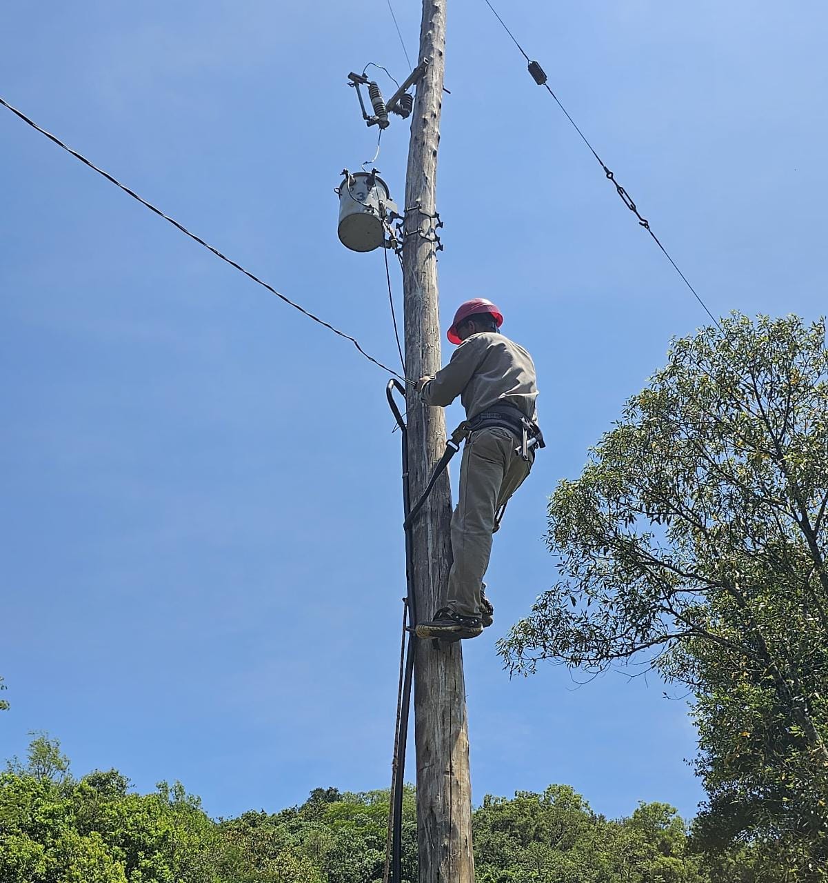 Electrificación Rural: para Energía de Misiones cada familia cuenta