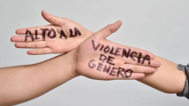 En Misiones, 49% de las mujeres sufrió violencia
