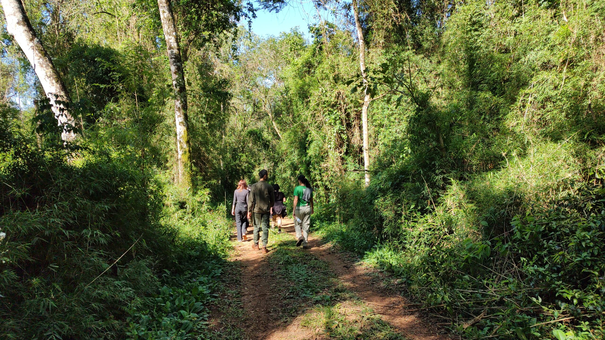 Ley de Bosques: Nación designa solo 300 pesos anuales por hectárea para el cuidado de los bosques