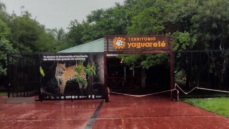 En el marco del Festival del Yaguareté se inaugurará el Territorio dedicado al felino