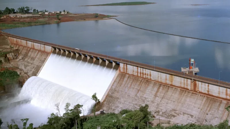 Registraron un extraño comportamiento de los peces en el embalse de la represa Urugua-í