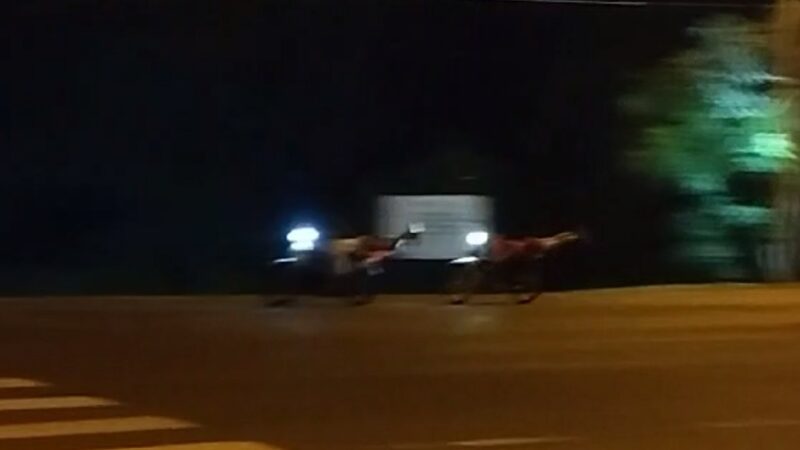 Jóvenes continúan jugando picadas y haciendo maniobras peligrosas en autovía de acceso