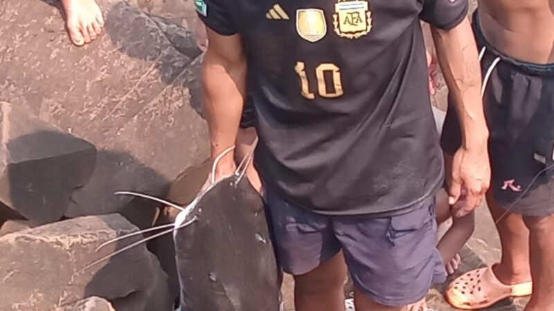 Ecología: reiteran a la comunidad la veda total de pesca en los ríos Iguazú y Paraná