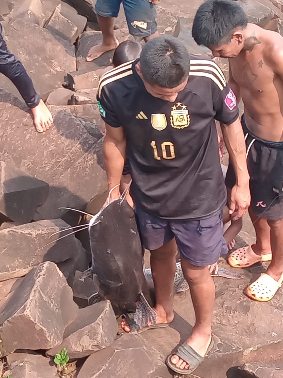 Ecología: reiteran a la comunidad la veda total de pesca en los ríos Iguazú y Paraná