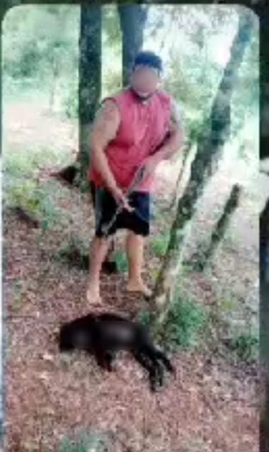 Mató un mono Carayá, lo publicó en sus estados de whatsapp y fue detenido