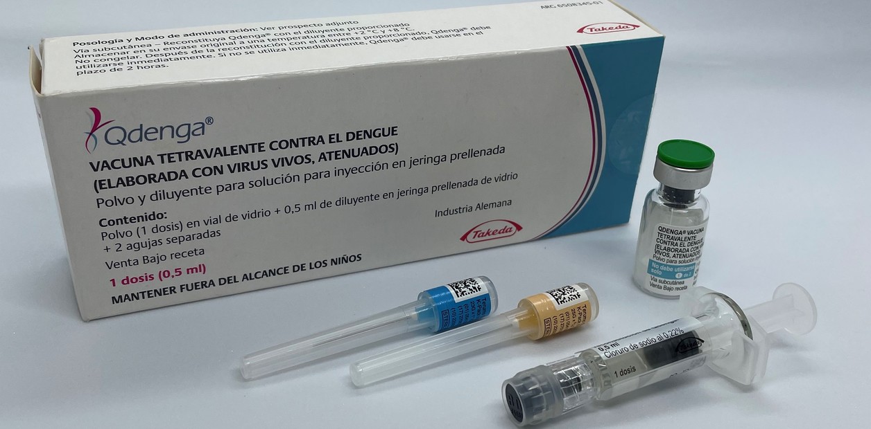Dengue: no habrá campaña masiva de vacunación y recomiendan limpiar los patios