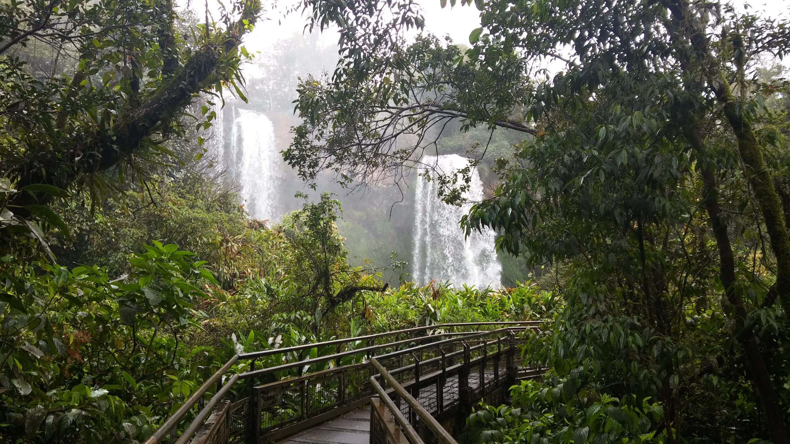 Cataratas se viste de fiesta para celebrar la primera boda de extranjeros