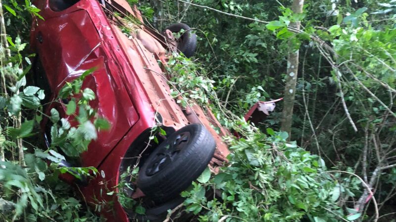 Perdió el control de su vehículo y fue a parar al monte, el conductor salió ileso