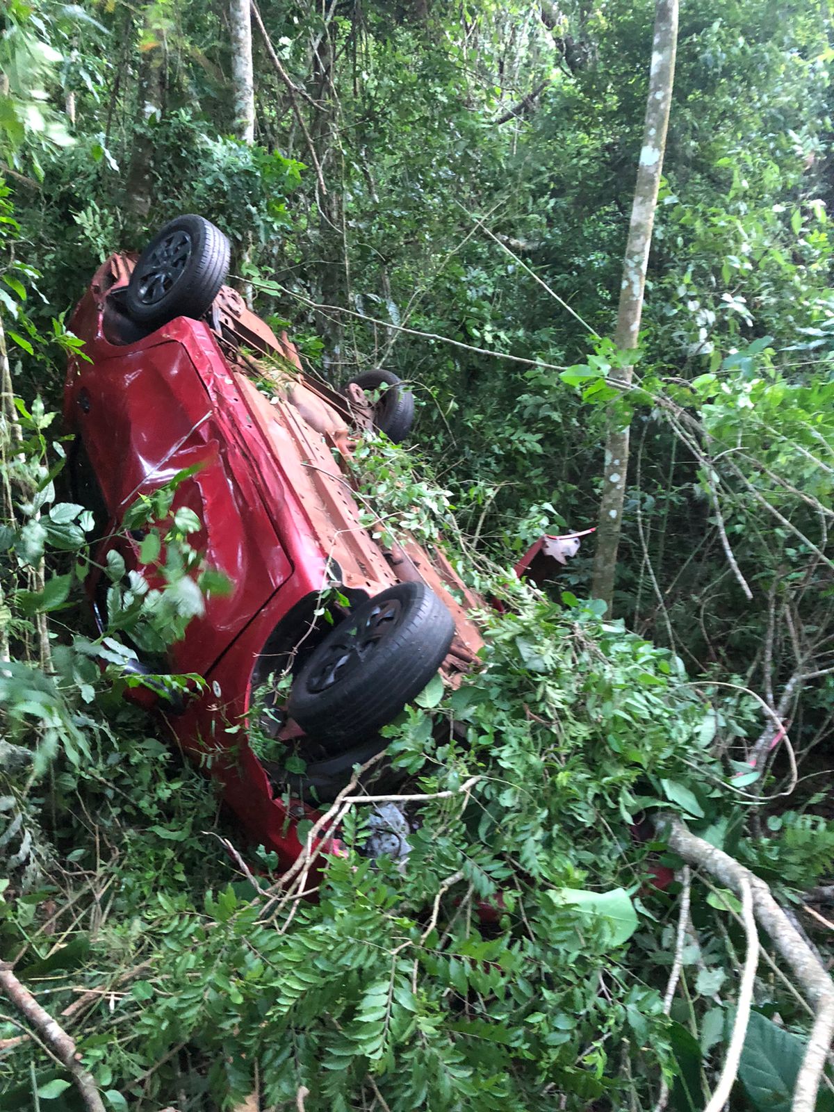 Perdió el control de su vehículo y fue a parar al monte, el conductor salió ileso