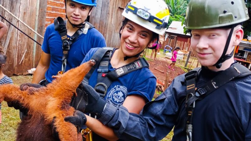 Se recupera en Güira Oga el oso melero recatado de un pozo por los Bomberos