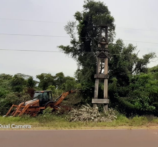 Operativos de limpieza en Comandante Andresito para optimizar el servicio energético