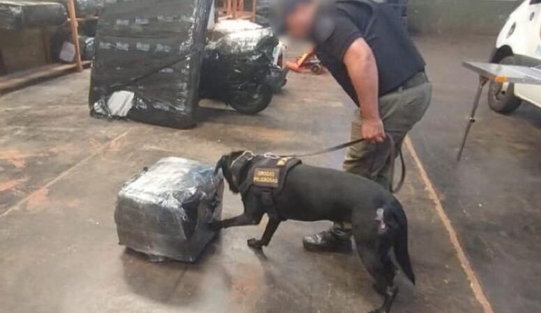 “Sherlock” detectó una narco encomienda en Wanda, hay tres detenidos