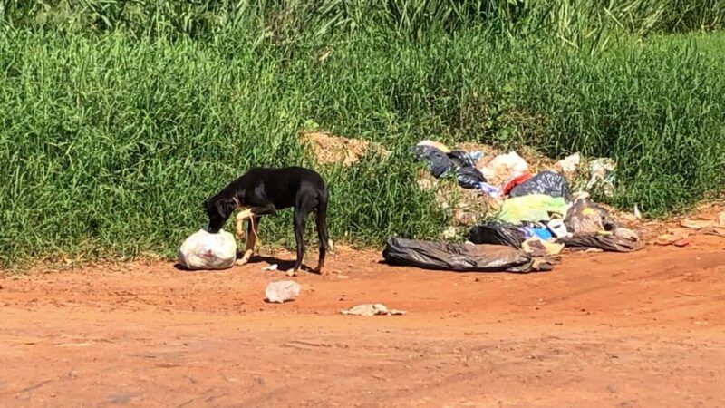 Mini basurales: Exigen al municipio que informe acerca de la problemática