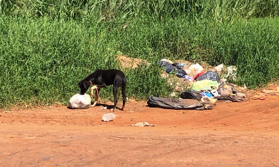 Mini basurales: Exigen al municipio que informe acerca de la problemática
