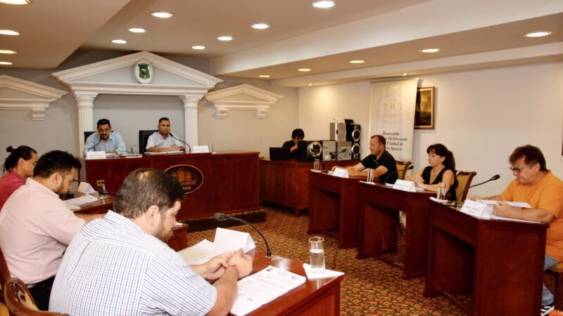 Presentaron un pedido de sesión extraordinaria para destituir a un concejal que cobra casi 2 millones de Energía de Misiones