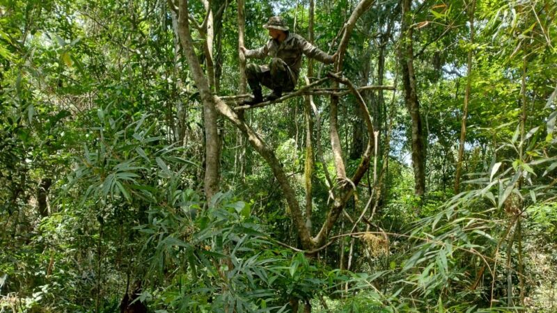 Con el objetivo de proteger la Selva Misionera para las generaciones venideras