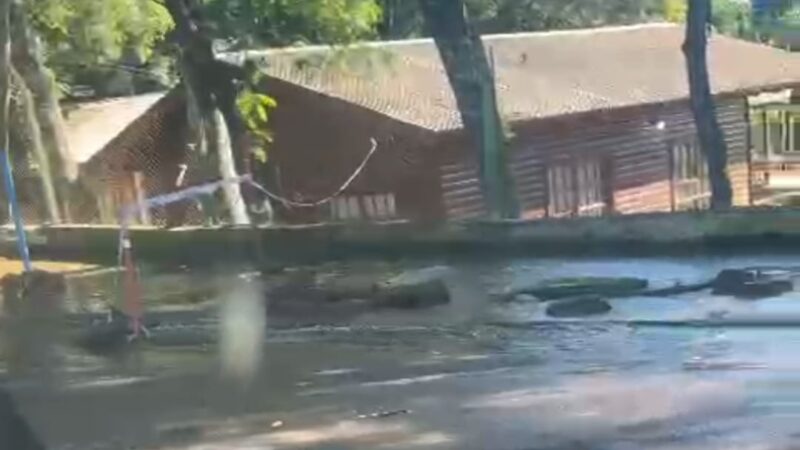 Iguazú: quejas por el agua que desecha IMAS que inunda un sector de la calle Fray Luis Beltrán