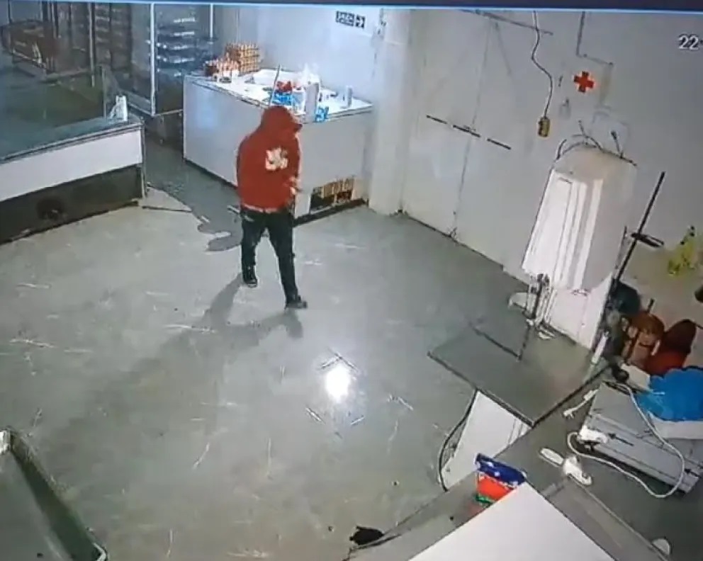 Robaron 4 millones de una carnicería en la madrugada del lunes