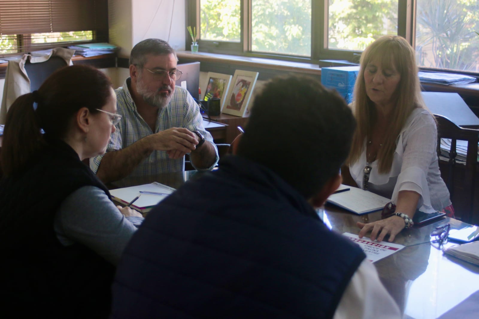 Atropellamiento animal: Reforzarán señalización en rutas que atraviesan áreas protegida