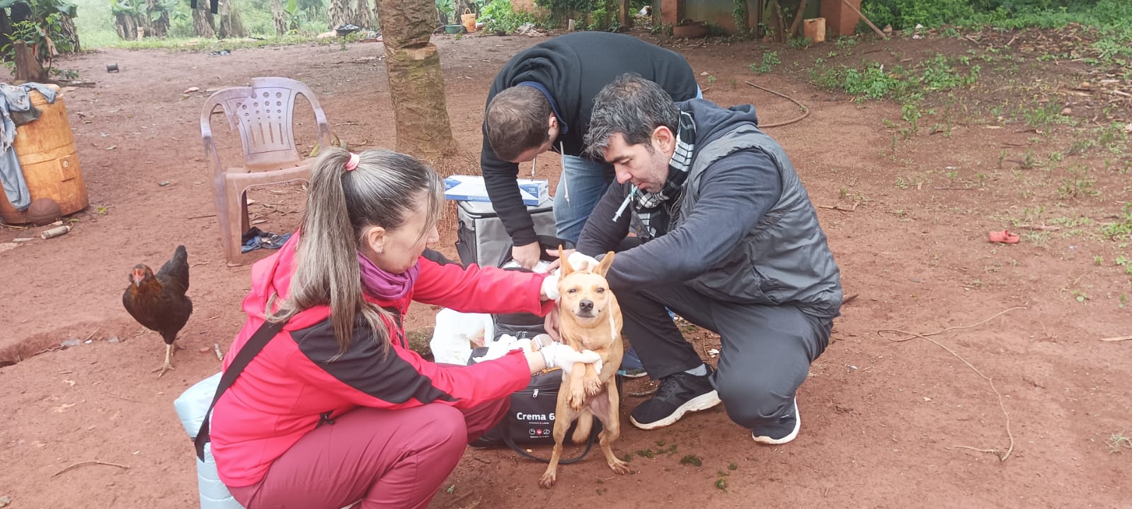 Veterinarios dieron inicio al programa “Una salud” en las comunidades Mbya de las 600 hectáreas