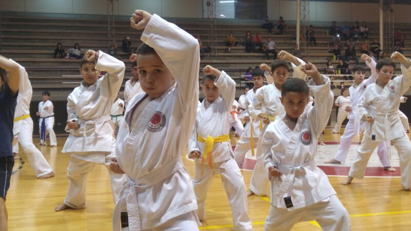 Iguazú se prepara para el III Torneo Sudamericano de Artes Marciales