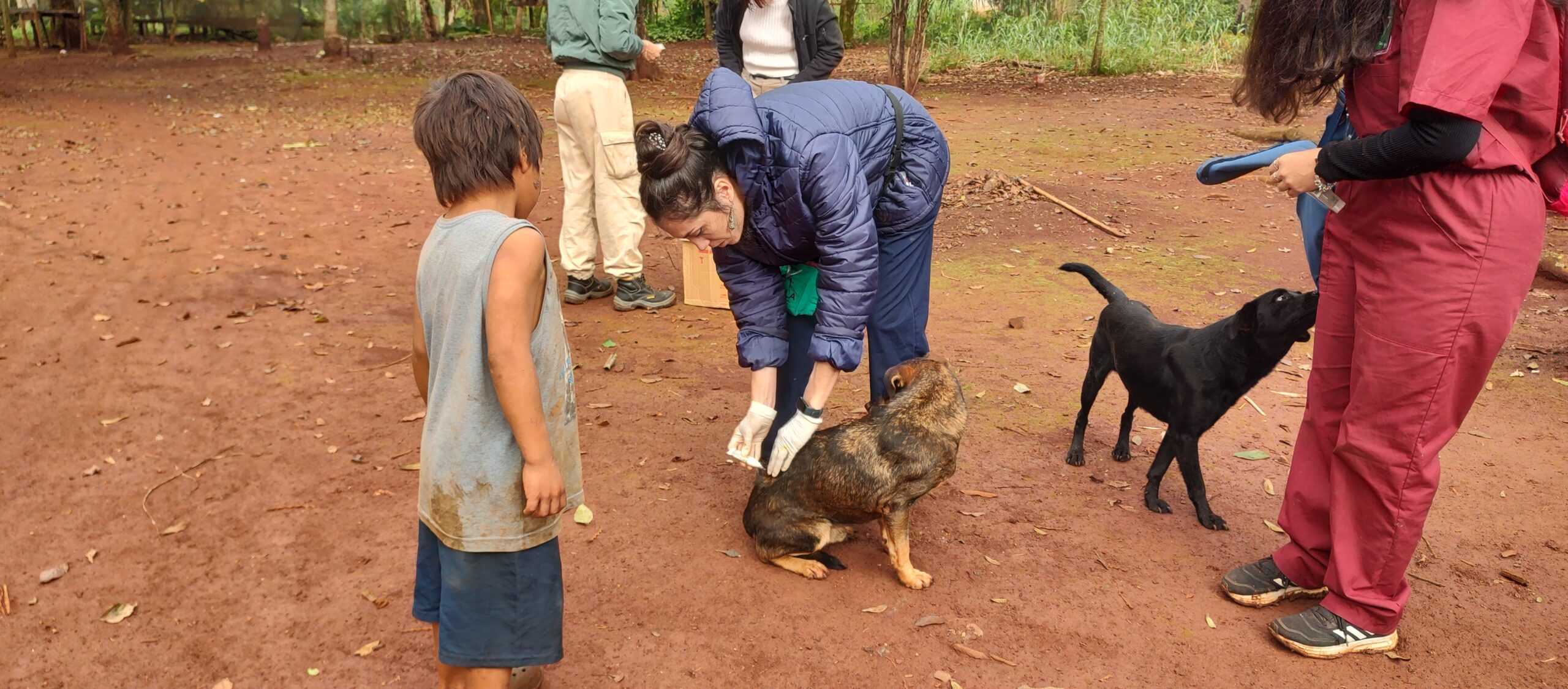 En la segunda visita los veterinarios encontraron a las mascotas de la comunidad Mbya en mejor estado