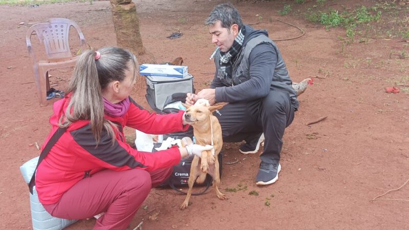 Se realizará la segunda jornada “Una sola salud” en las comunidades Mbya de Iguazú.