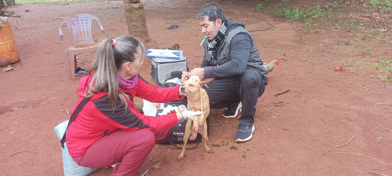 Se realizará la segunda jornada “Una sola salud” en las comunidades Mbya de Iguazú.