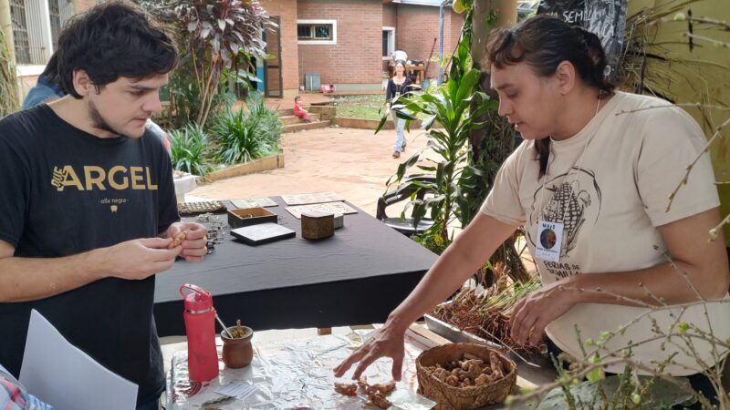 Se realizó la IV edición de la Feria local de semillas Nativa y Criolla en Iguazú