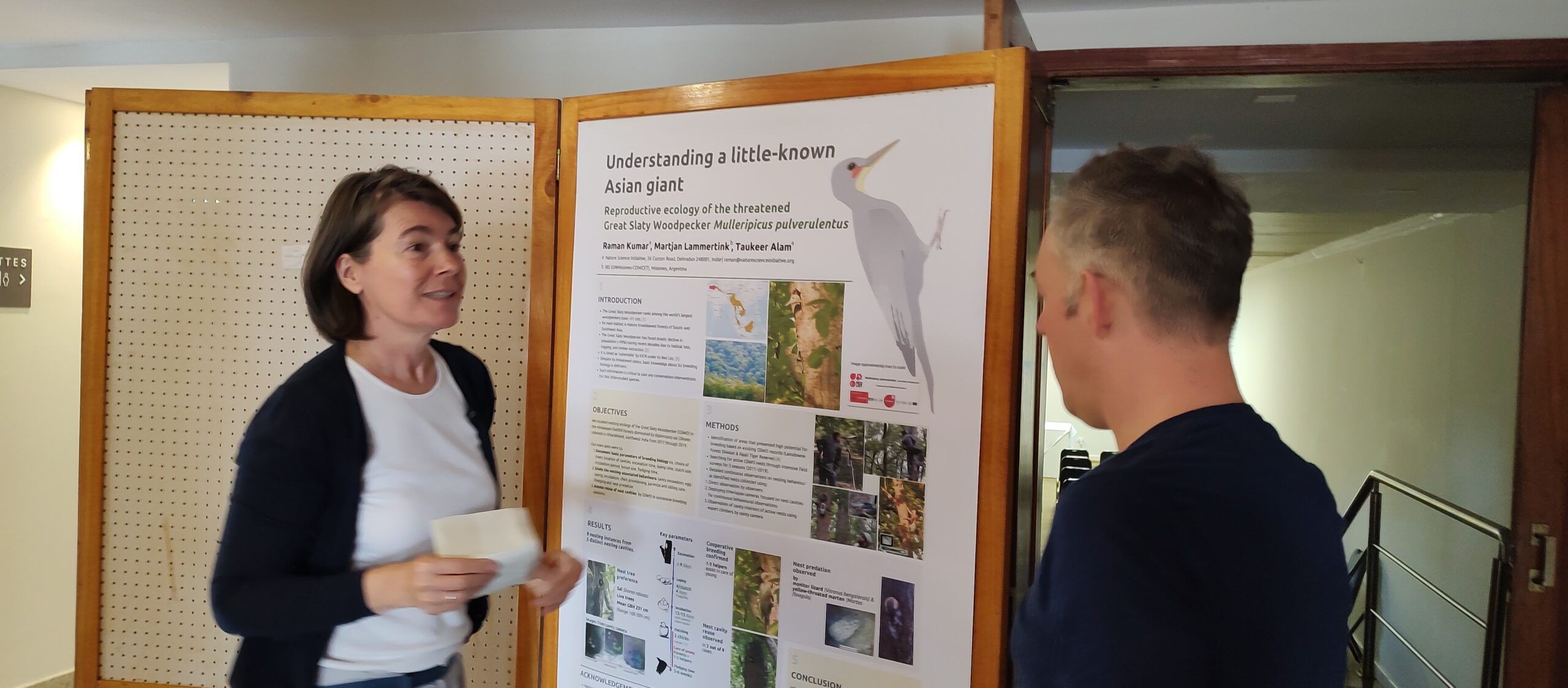 El pájaro carpintero como indicador de conservación de los bosques