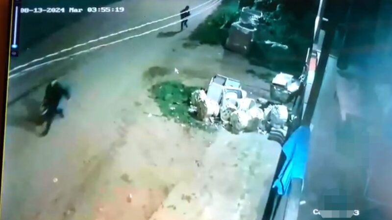 Despertaron a la madrugada y había dos ladrones en el quincho de su casa