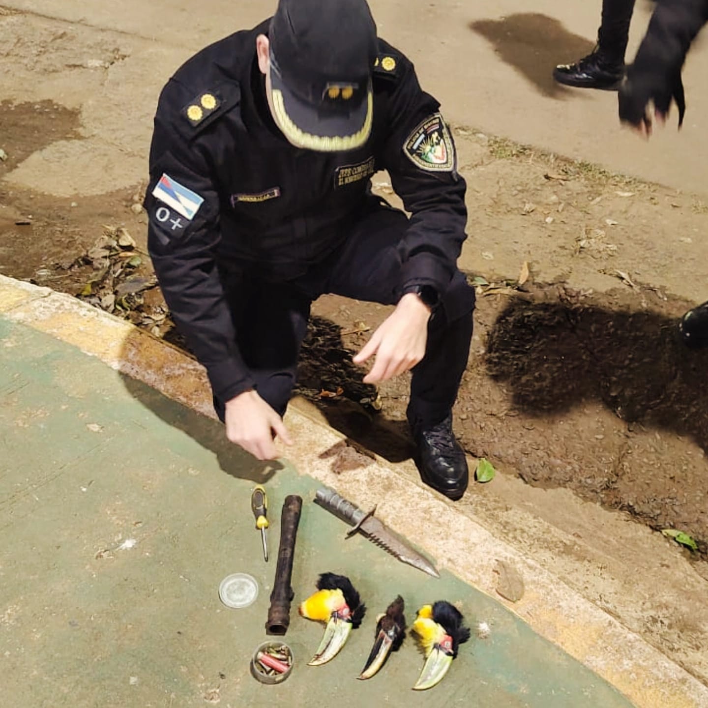 El Soberbio: Exhibían por redes sociales las cabezas de tucanes que habían matado, fueron detenidos
