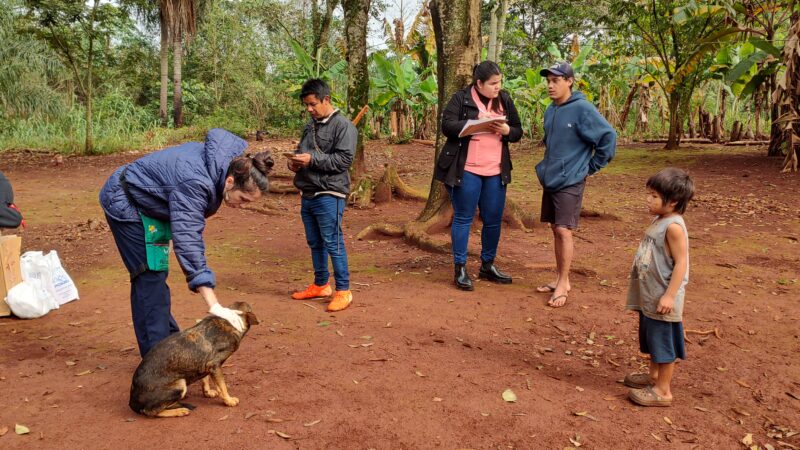 Tras el censo, se llevará a cabo una jornada de castración masiva de mascotas en las comunidades Mbya