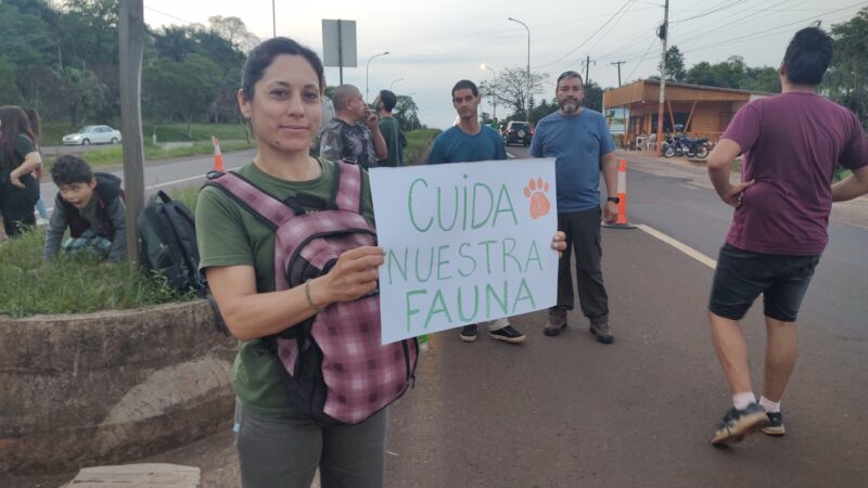 #EnDefensaDelYaguarete: convocan a una movilización y campaña de concientización este lunes