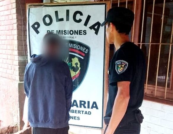 Puerto Libertad: Un hombre fue detenido tras ser sorprendido cortando cables del alumbrado público 