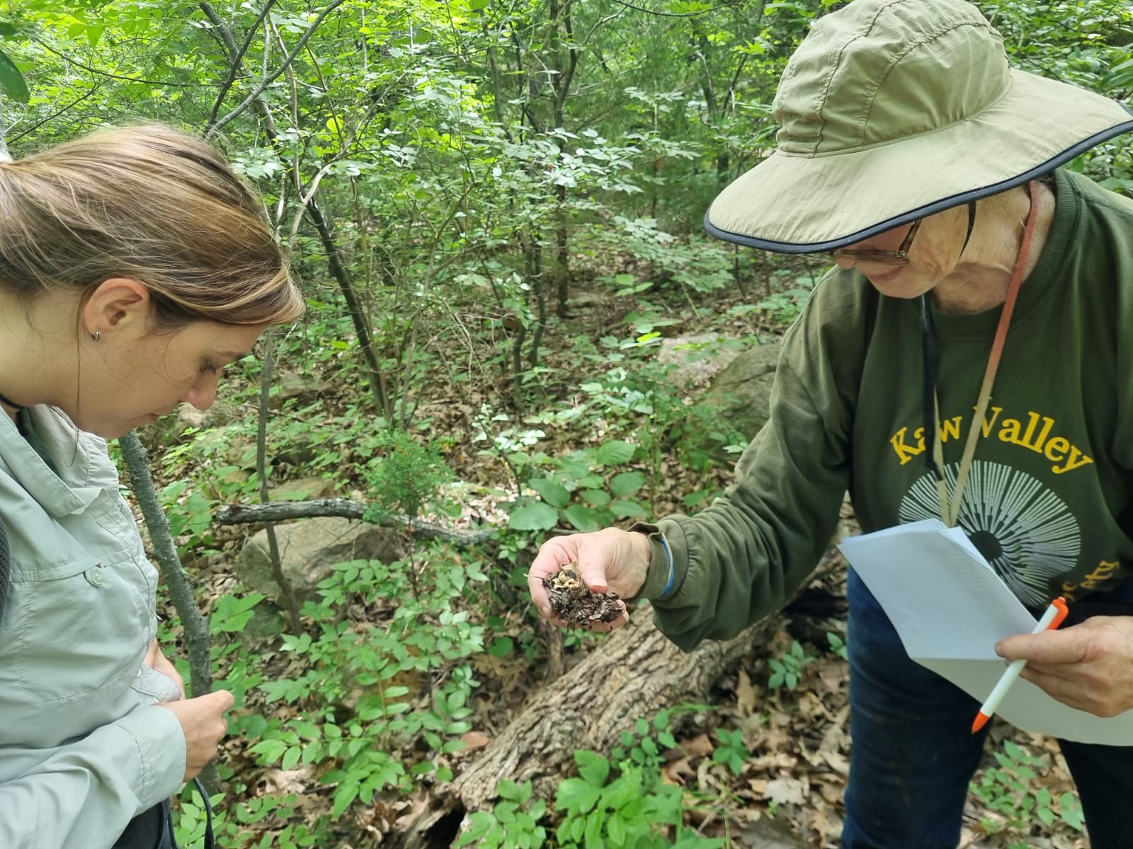 Happy Hour Científico Iguazú: El mundo de las micorrizas y su alianza subterránea entre hongos y plantas