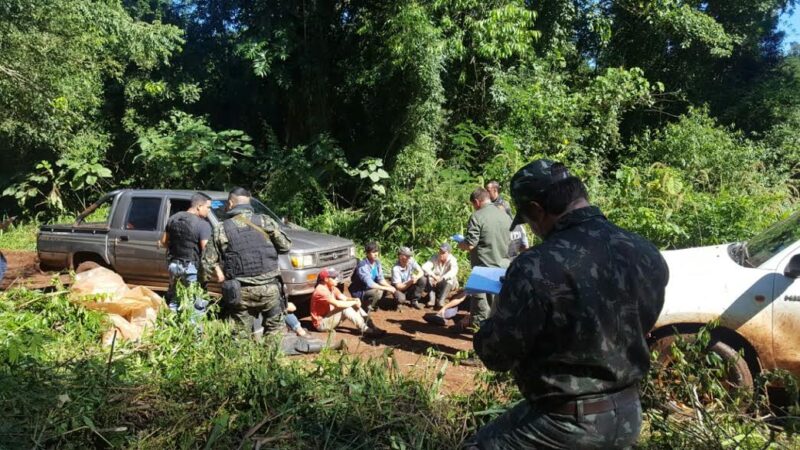 Las bandas de cazadores furtivos que entran a misiones desde el Brasil son cada vez más violentas y peligrosas