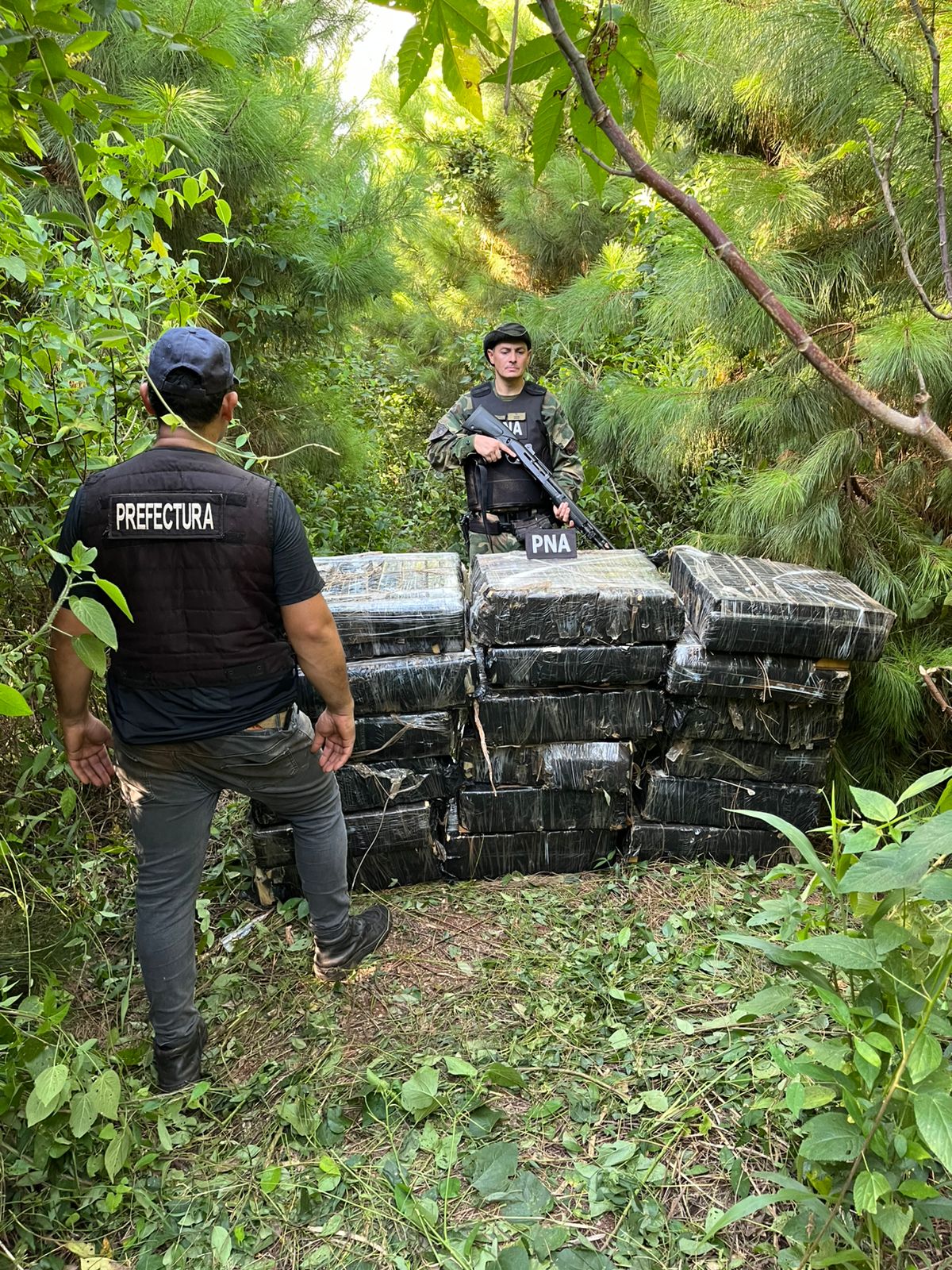 Golpe al narcotráfico: Prefectura incautó más de 600 kilos de marihuana en Misiones  
