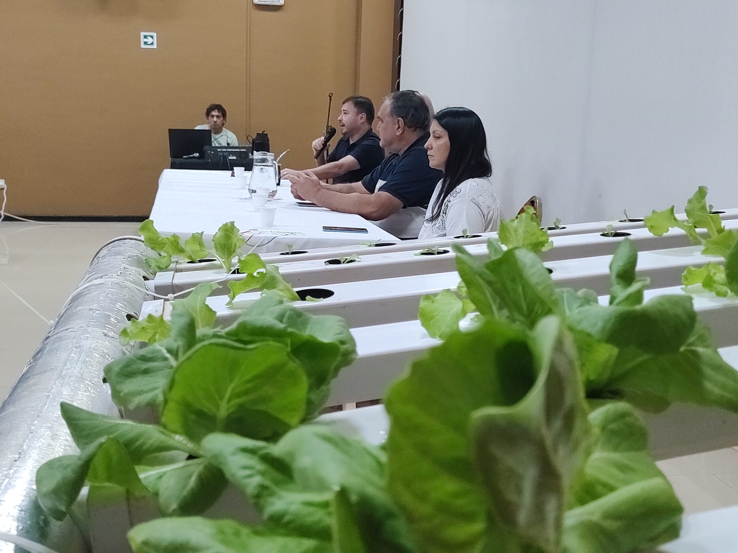Iguazú: Impulsan la producción hortícola con una capacitación sobre hidroponía
