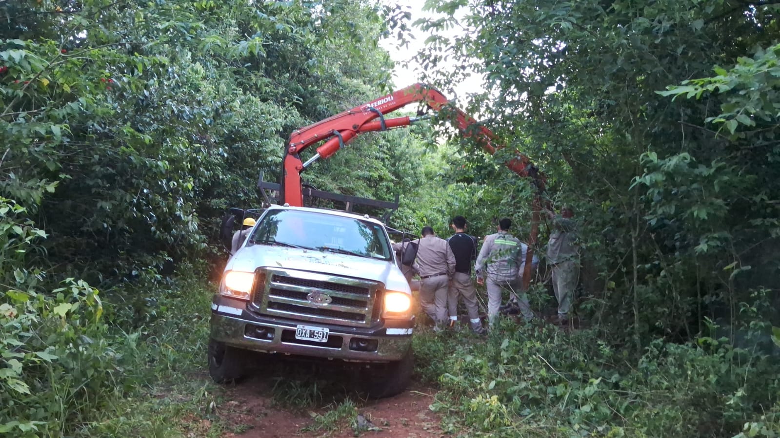Intento de robo de cable provocó la falla la línea de 33 KV que dejó sin luz a Puerto Iguazú